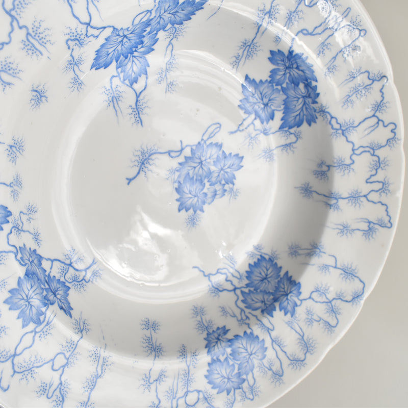 Antique Deep Plate LM&Cie Creil-Montereau Flora Lichen A