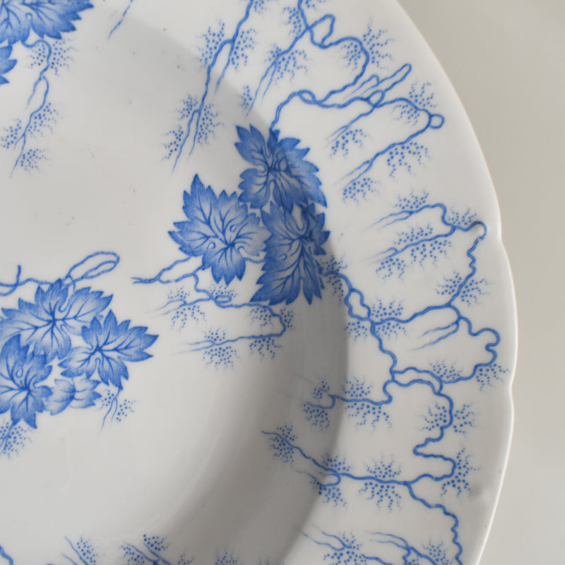 Antique Deep Plate LM&Cie Creil-Montereau Flora Lichen A