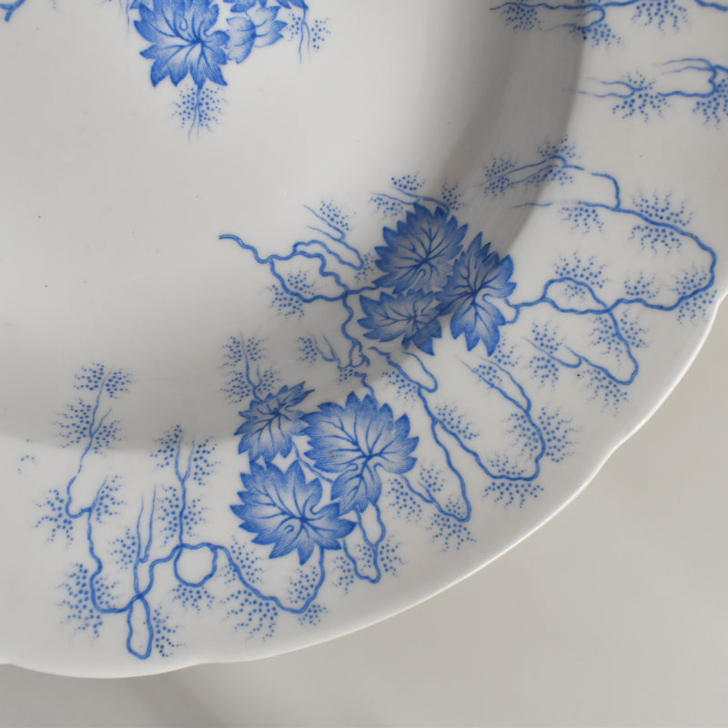 Antique Deep Plate LM&Cie Creil-Montereau Flora Lichen A