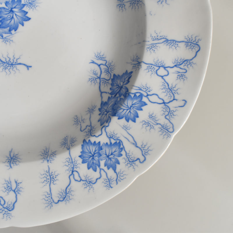 Antique Deep Plate LM&Cie Creil-Montereau Flora Lichen A