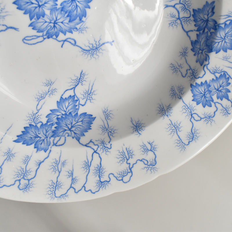 Antique Deep Plate LM&Cie Creil-Montereau Flora Lichen A