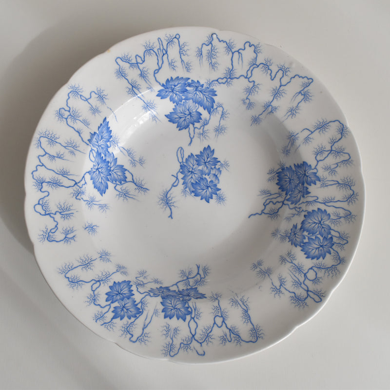 Antique Deep Plate LM&Cie Creil-Montereau Flora Lichen A