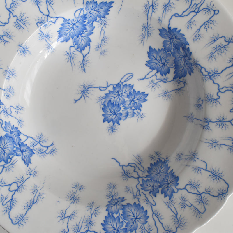 Antique Deep Plate LM&Cie Creil-Montereau Flora Lichen A