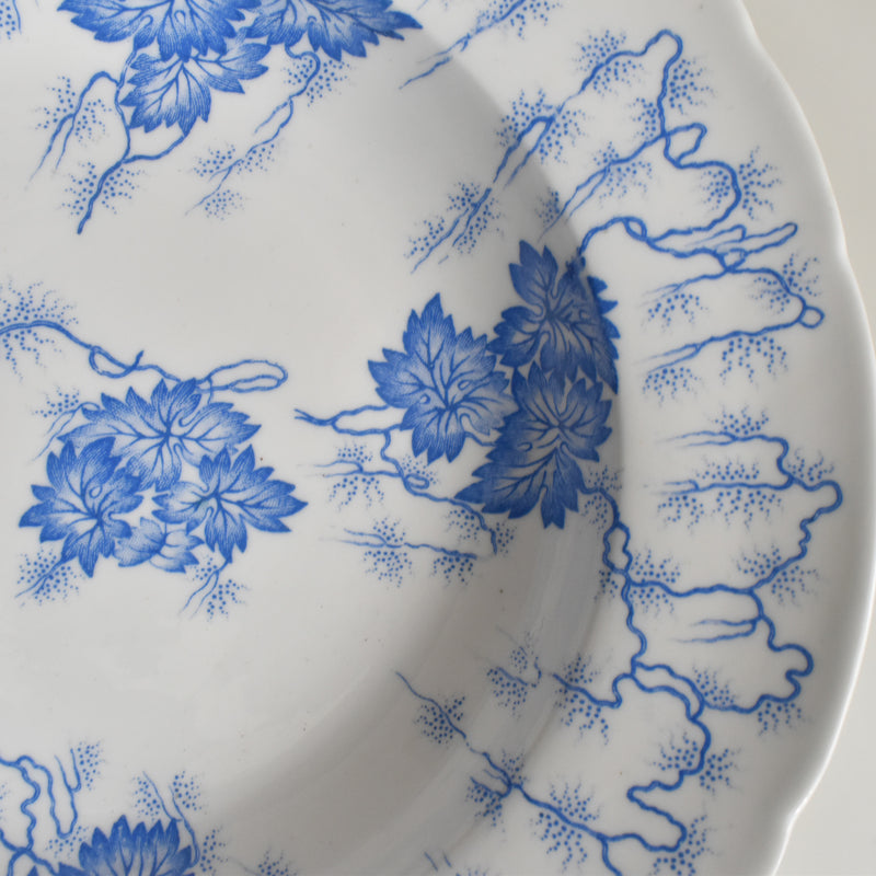 Antique Deep Plate LM&Cie Creil-Montereau Flora Lichen B
