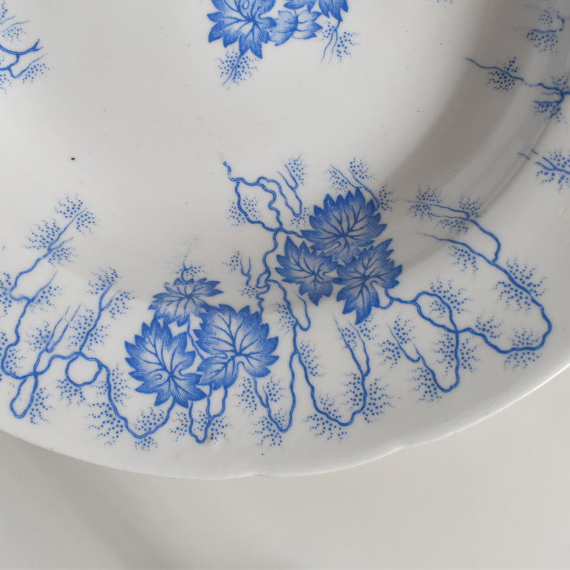 Antique Deep Plate LM&Cie Creil-Montereau Flora Lichen B