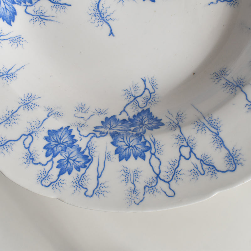 Antique Deep Plate LM&Cie Creil-Montereau Flora Lichen B