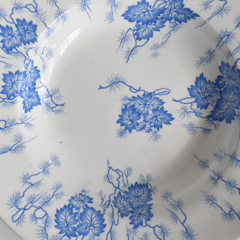 Antique Deep Plate LM&Cie Creil-Montereau Flora Lichen B