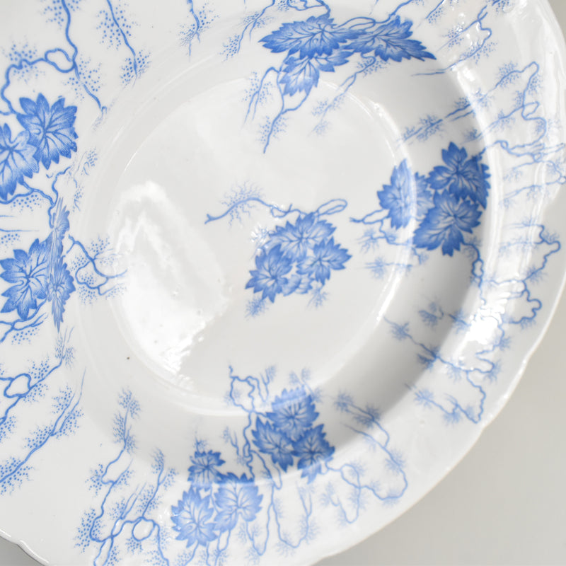 Antique Deep Plate LM&Cie Creil-Montereau Flora Lichen B