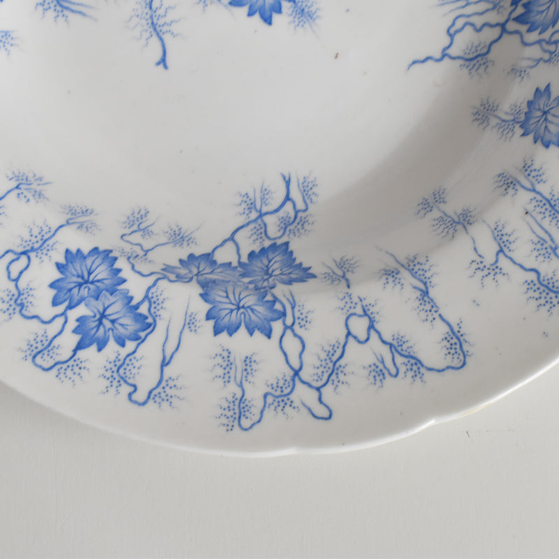 Antique deep plate LM&Cie Creil-Montereau Flora Lichen D