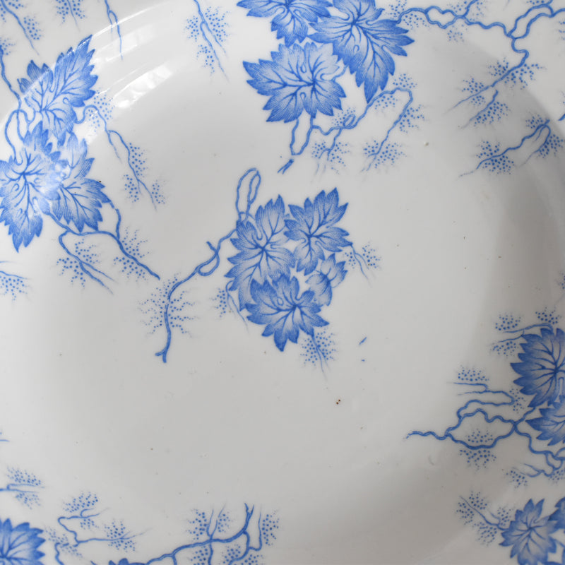 Antique deep plate LM&Cie Creil-Montereau Flora Lichen D