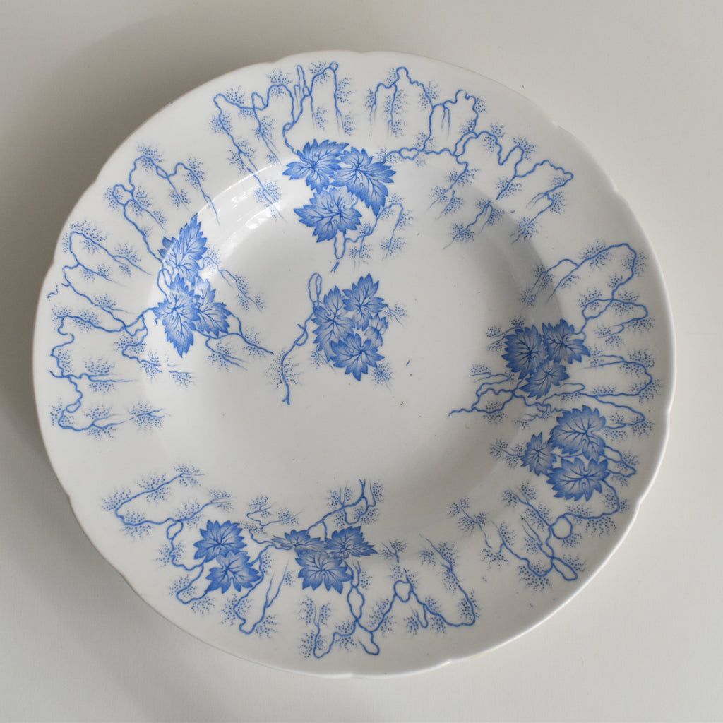 アンティーク深皿 LM&Cie クレイユモントロー Flora Lichen （フローラ