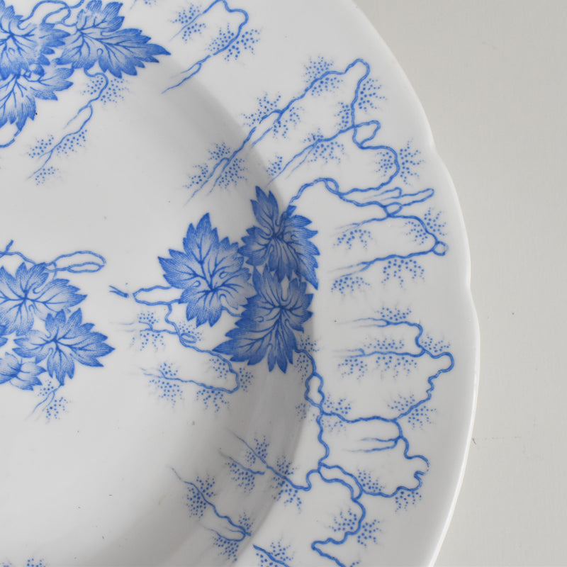 Antique deep plate LM&Cie Creil-Montereau Flora Lichen D