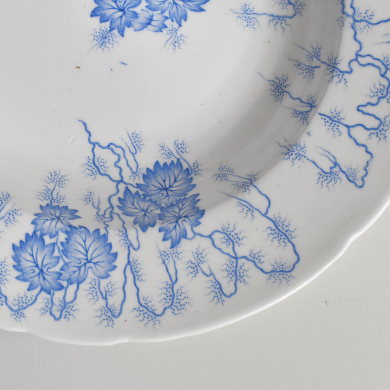 Antique deep plate LM&Cie Creil-Montereau Flora Lichen D