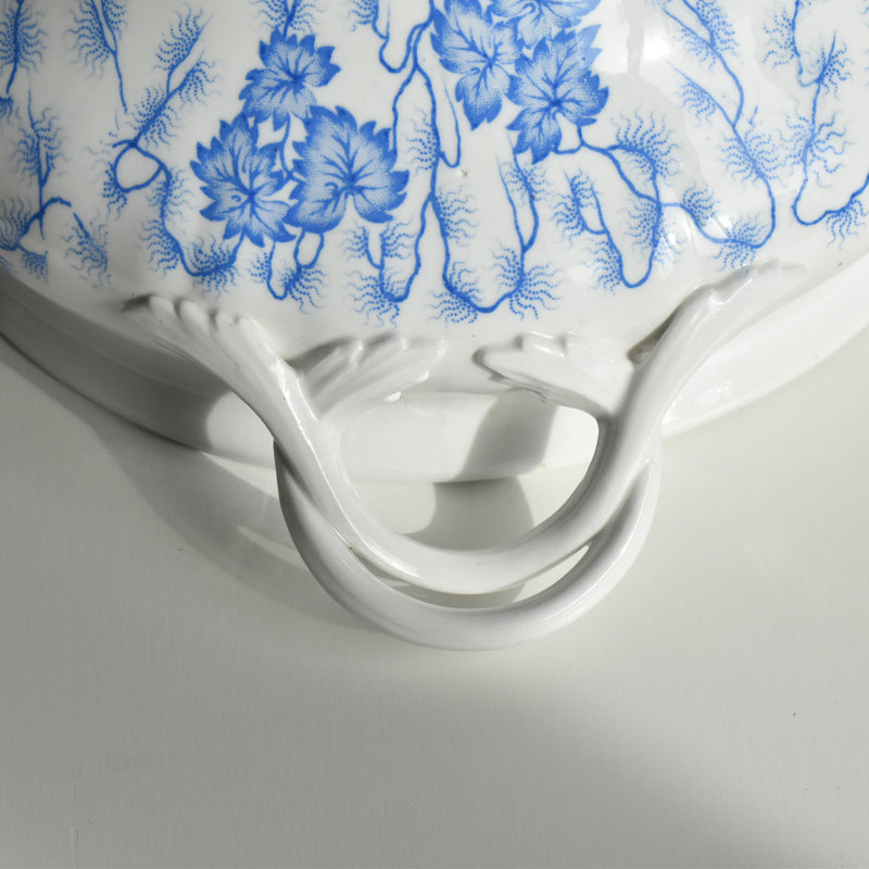 Antique soup tureen, LM&Cie Creil Montereau, Flora Lichen