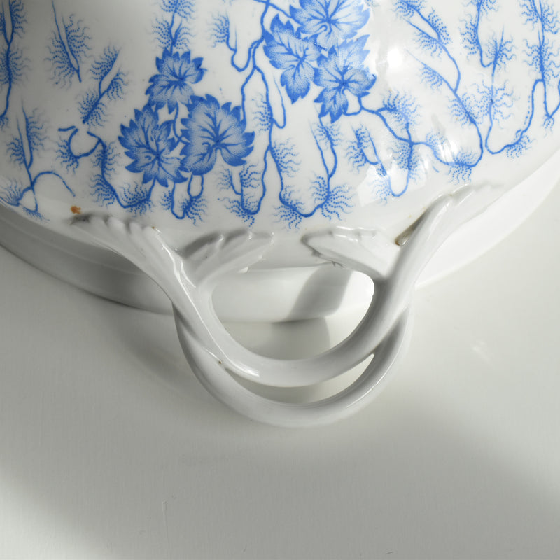 Antique soup tureen, LM&Cie Creil Montereau, Flora Lichen