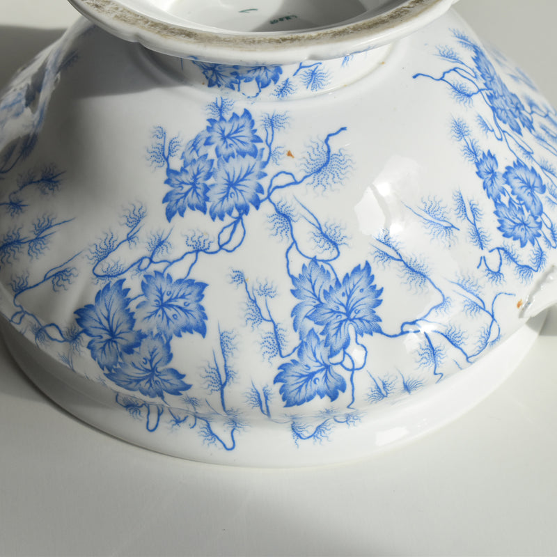 Antique soup tureen, LM&Cie Creil Montereau, Flora Lichen