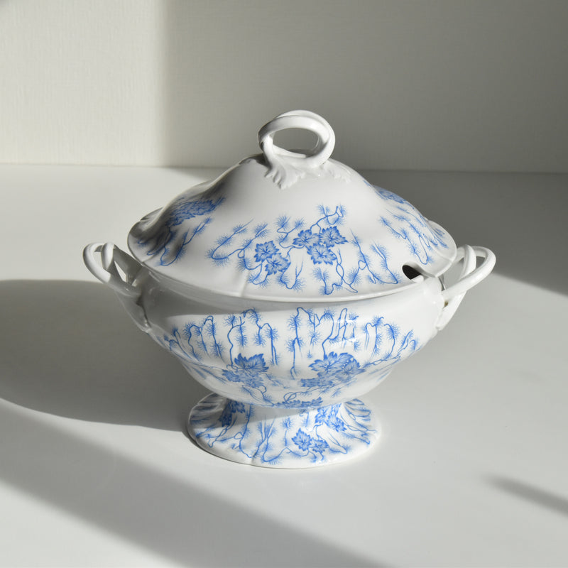 Antique soup tureen, LM&Cie Creil Montereau, Flora Lichen