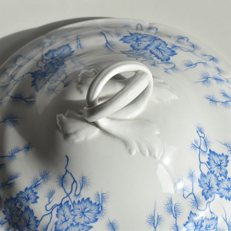 Antique soup tureen, LM&Cie Creil Montereau, Flora Lichen