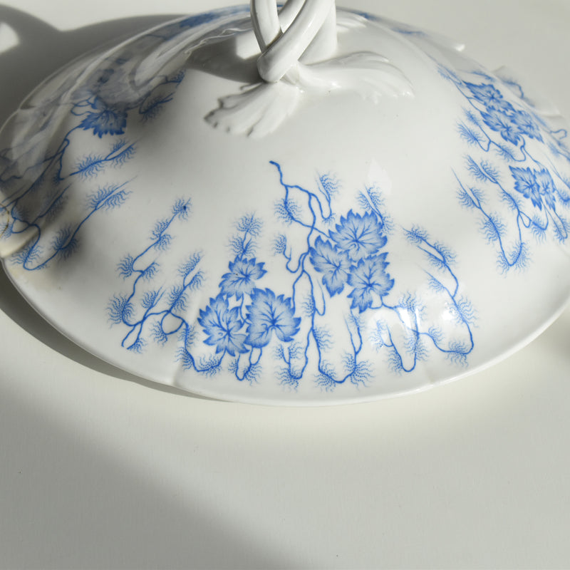 Antique soup tureen, LM&Cie Creil Montereau, Flora Lichen
