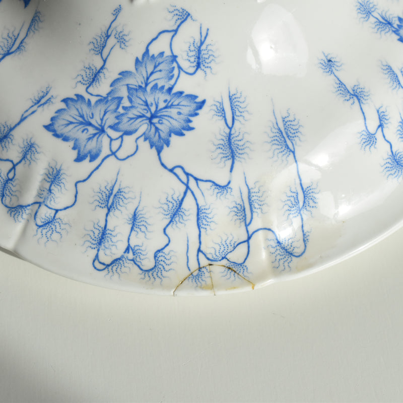 Antique soup tureen, LM&Cie Creil Montereau, Flora Lichen