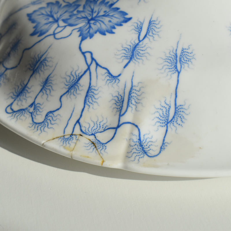 Antique soup tureen, LM&Cie Creil Montereau, Flora Lichen