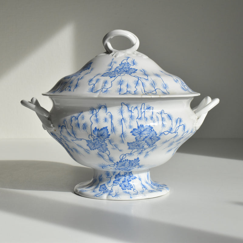 Antique soup tureen, LM&Cie Creil Montereau, Flora Lichen