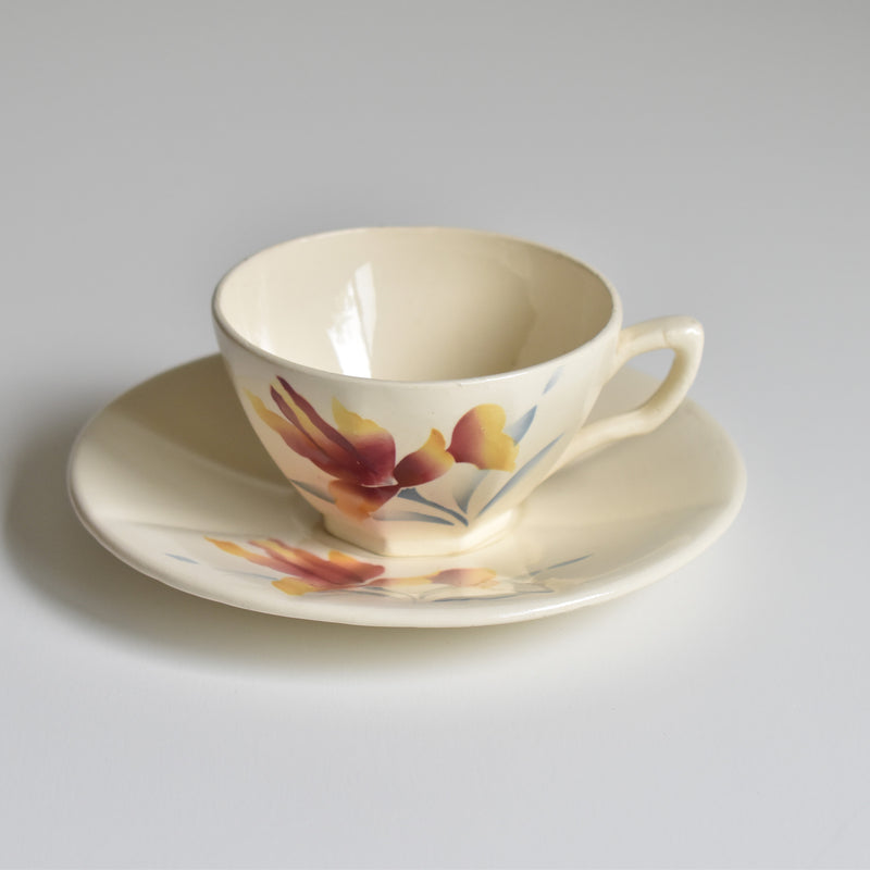 Vintage Coffee Cup and Saucer, Digoin & Sarreguemines Iris 9225 A