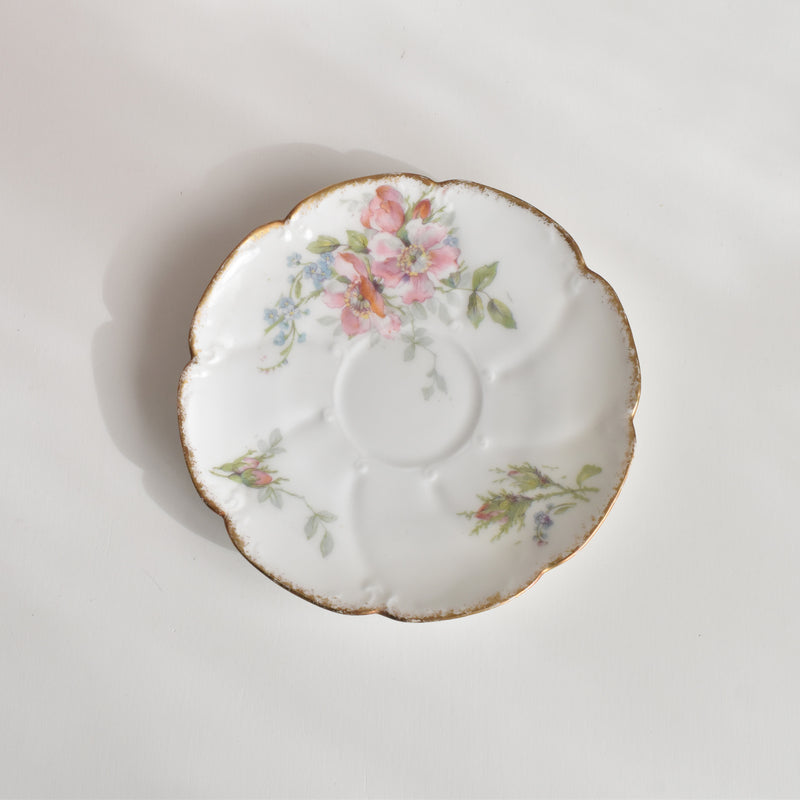 Antique Coffee Cup & Saucer Limoges Sigismond Maas A