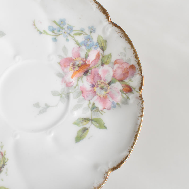 Antique Coffee Cup & Saucer Limoges Sigismond Maas A