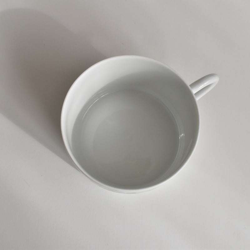 Vintage Teacup & Saucer Limoges Sofafils A