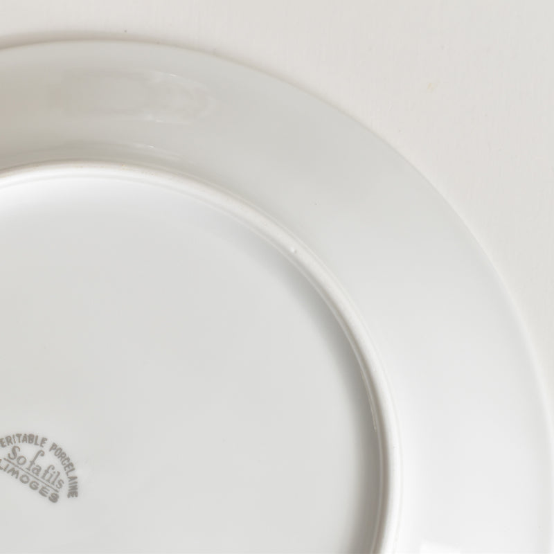 Vintage Teacup & Saucer Limoges Sofafils A