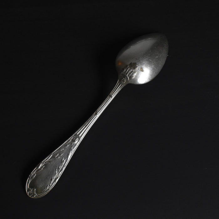 ヴィンテージ銀メッキスプーン APOLLO