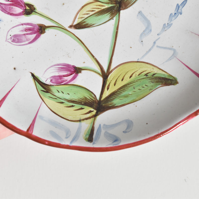 Antique Cup & Saucer St. Clement Emile Gallé Libellule (Dragonfly) D