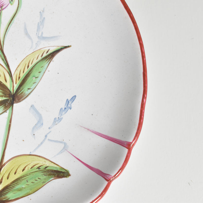 Antique Cup & Saucer St. Clement Emile Gallé Libellule (Dragonfly) D