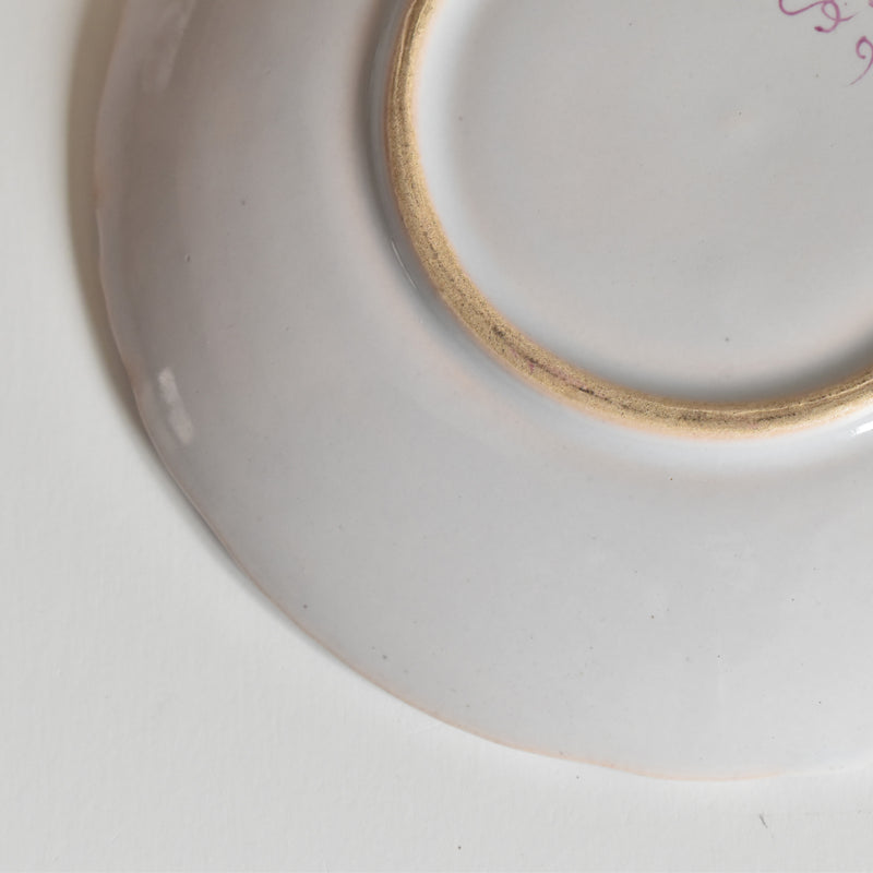 Antique Cup & Saucer St. Clement Emile Gallé Libellule F
