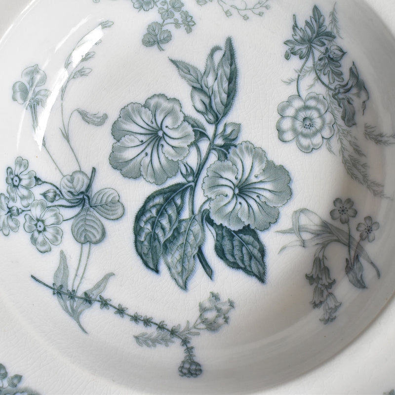 アンティーク深皿 イギリス窯 N92 G