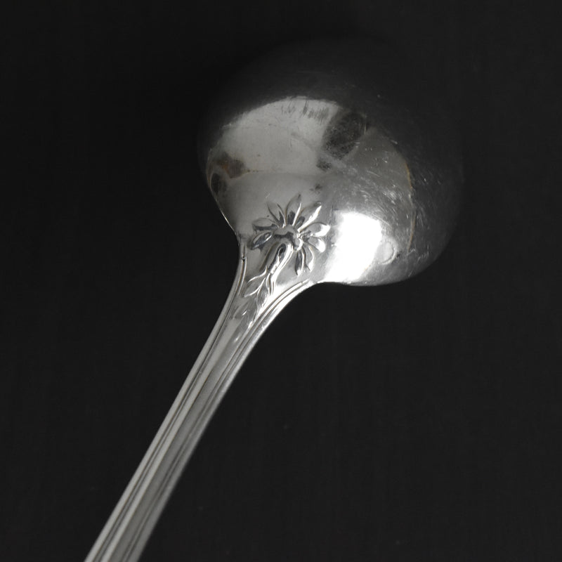 Vintage Serving Fork & Spoon Set ALFENIDE