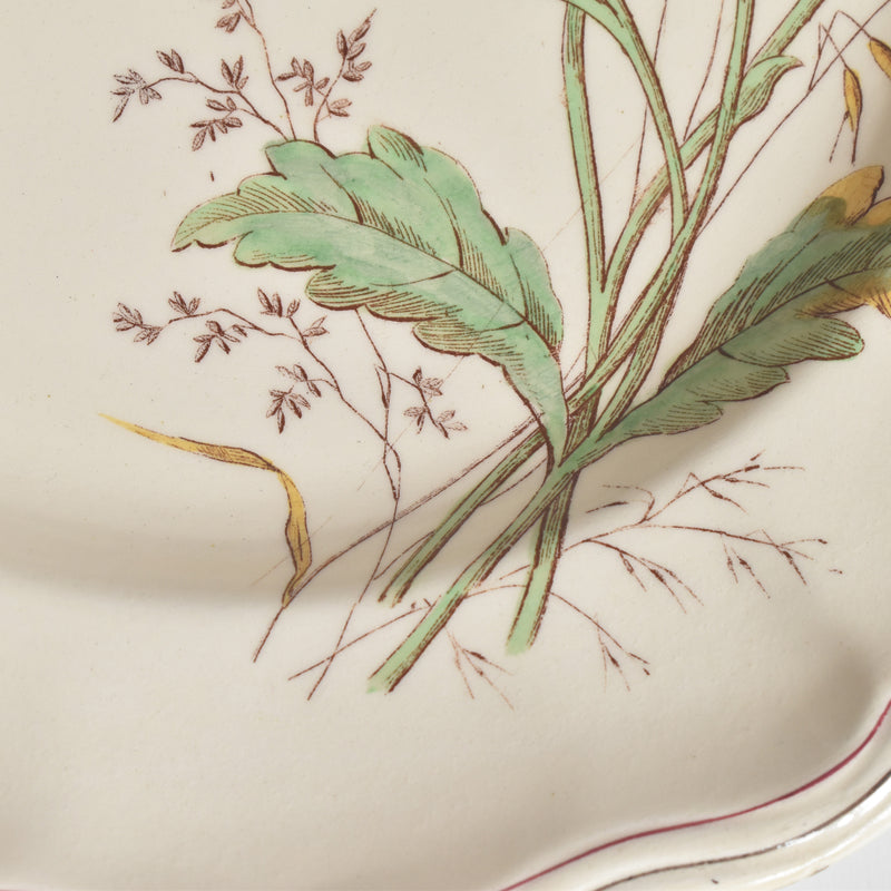 Antique plate Longchamp Marguerites (Daisies) Daisy A