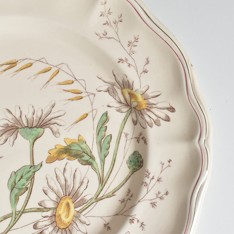 Antique plate Longchamp Marguerites (Daisies) Daisy A