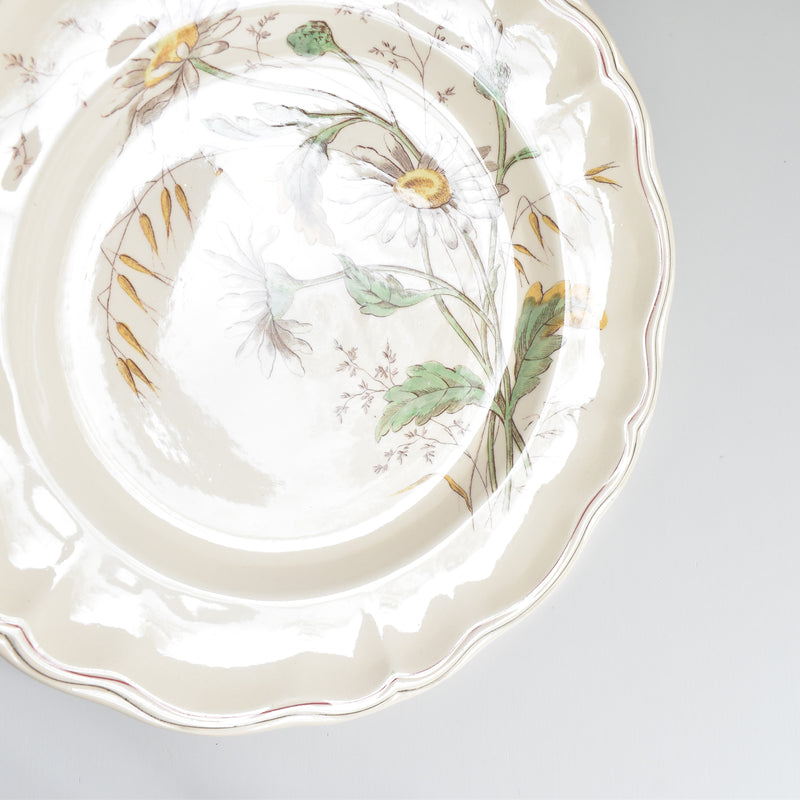 Antique plate Longchamp Marguerites (Daisies) Daisy A