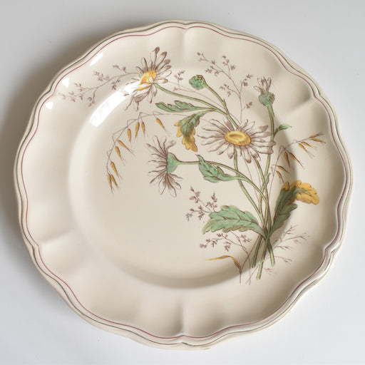 アンティークプレート ロンシャン Marguerites (マーガレット) ヒナギク A