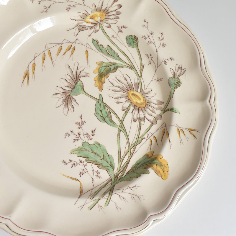 Antique plate Longchamp Marguerites (Daisies) Daisy A