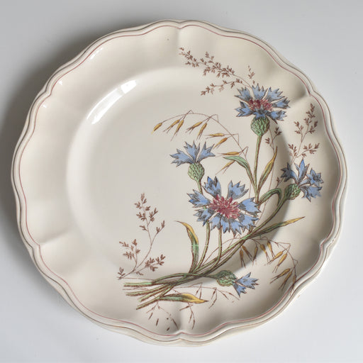 アンティークプレート ロンシャン Marguerites (マーガレット) 矢車菊 A