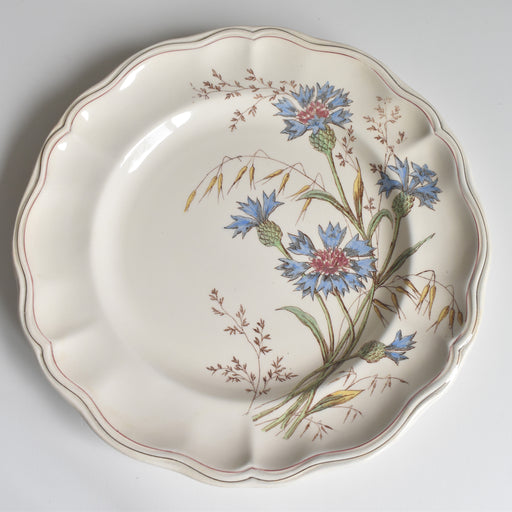 アンティークプレート ロンシャン Marguerites (マーガレット) 矢車菊 B