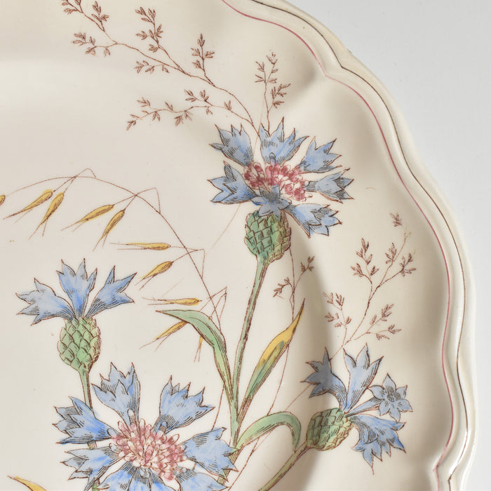 アンティークプレート ロンシャン Marguerites (マーガレット) 矢車菊 C