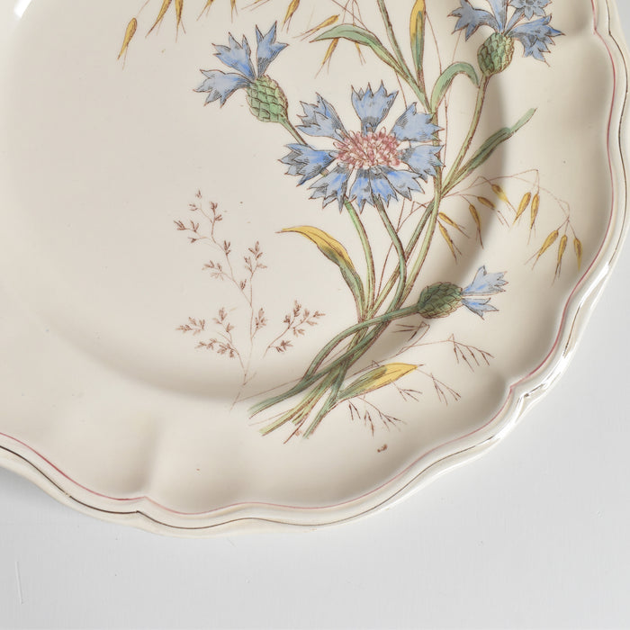 アンティークプレート ロンシャン Marguerites (マーガレット) 矢車菊 C