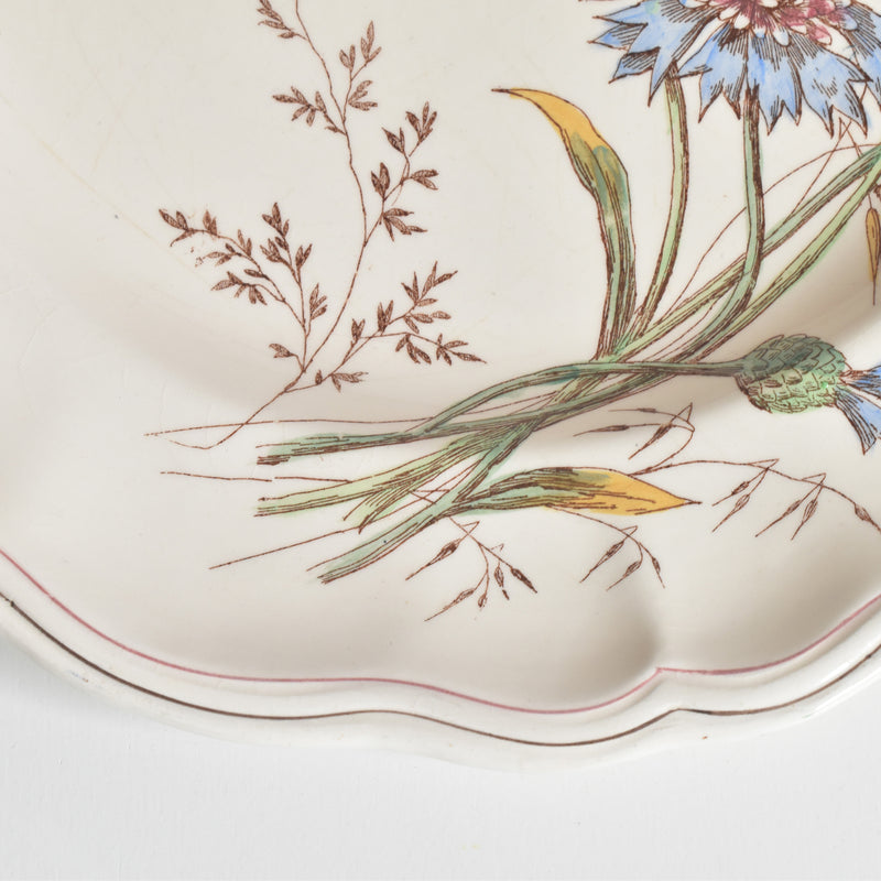 Antique Plate Longchamp Marguerites (Daisies) Cornflower D