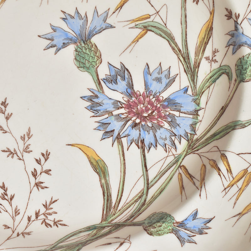 Antique Plate Longchamp Marguerites (Daisies) Cornflower D