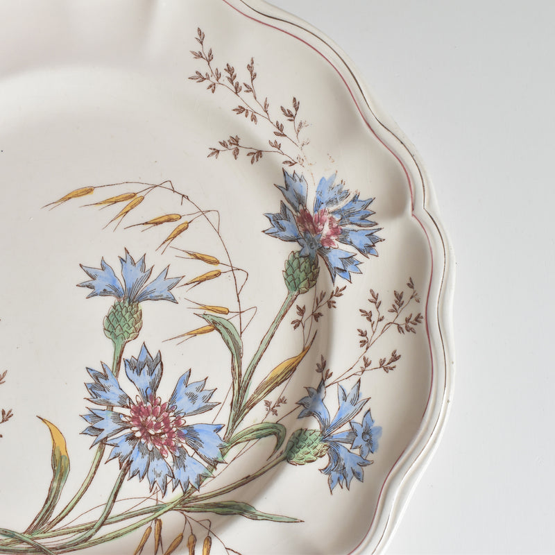 Antique Plate Longchamp Marguerites (Daisies) Cornflower D