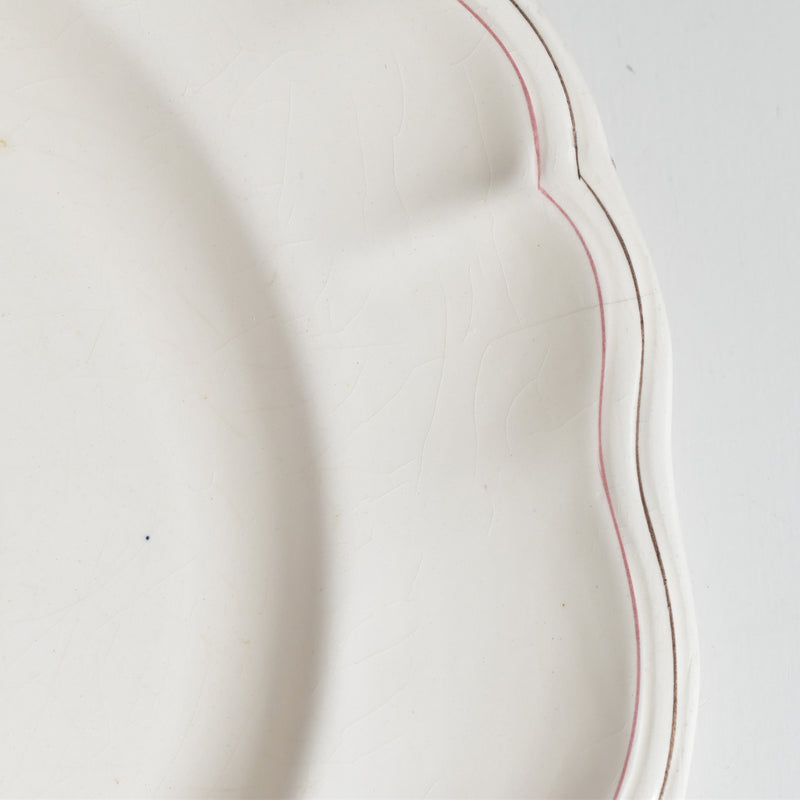 Antique Plate Longchamp Marguerites (Daisies) Cornflower D
